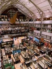 🦖 Oxford University Museum of Natural History: A Timeless Adventure!