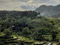 Jatiluwih - Tabanan