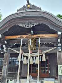 A shrine where you can meet cute "rabbits"
