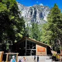 🌄 Explore the Icons of Yosemite National Park 🌲✨