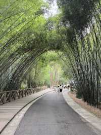 Must-visit place- Chengdu Research Base of Giant Panda Breeding