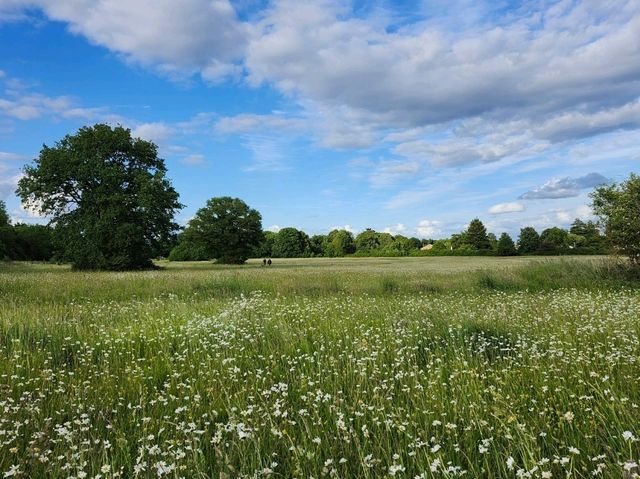Maidenhead: A Riverside Getaway Just Outside London 