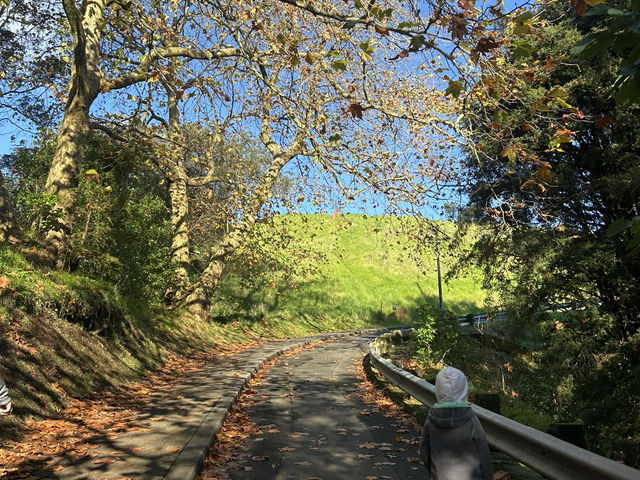 Mount Eden 風光如畫😍