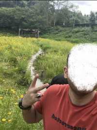 Yichun mountain 
