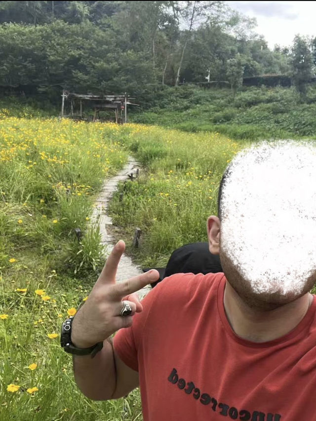 Yichun mountain 