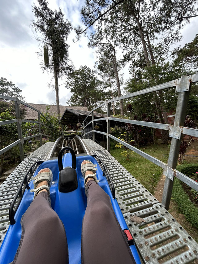 🏔️ Datanla New Alpine Coaster: When Mountains Whisper 'Slide Down' With Wind