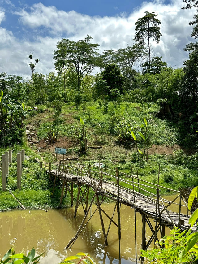 How to Travel Cambodia on a Budget 🇰🇭