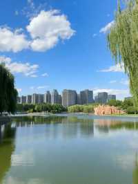Shijiazhuang: An Industrial Heart with a Hidden Soul