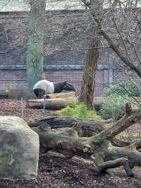 Copenhagen Zoo