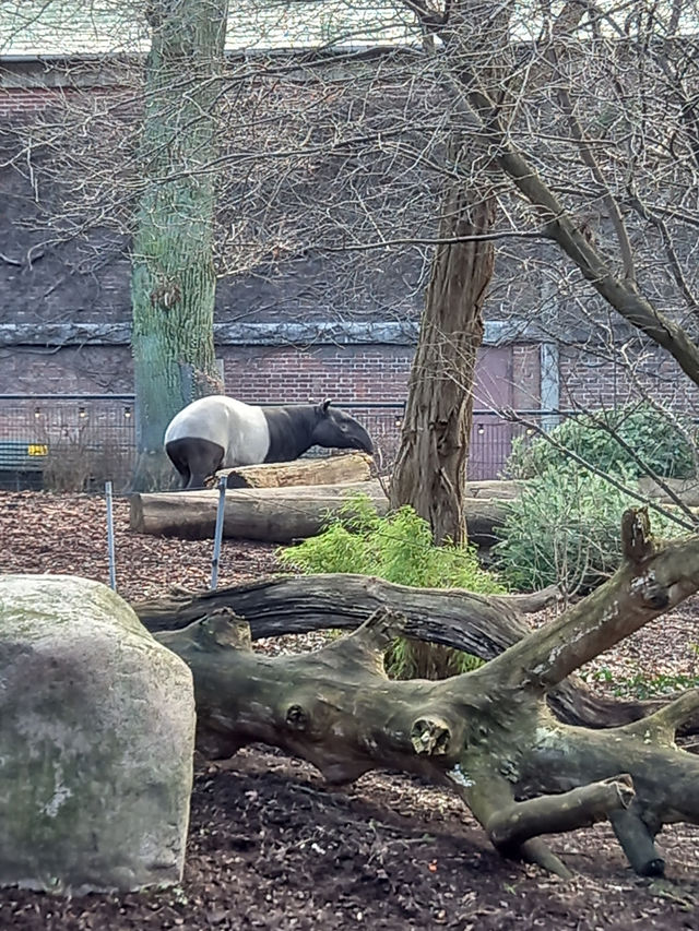 Copenhagen Zoo