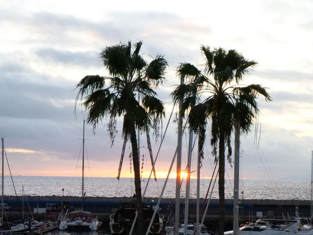 📍4 Days 3 Nights in Tenerife | Beaches, Paragliding, Whale Watching & Stargazing