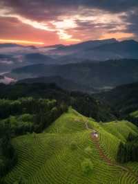 ⛰️ Mengding Mountain – The Ancient Cradle of Chinese Tea