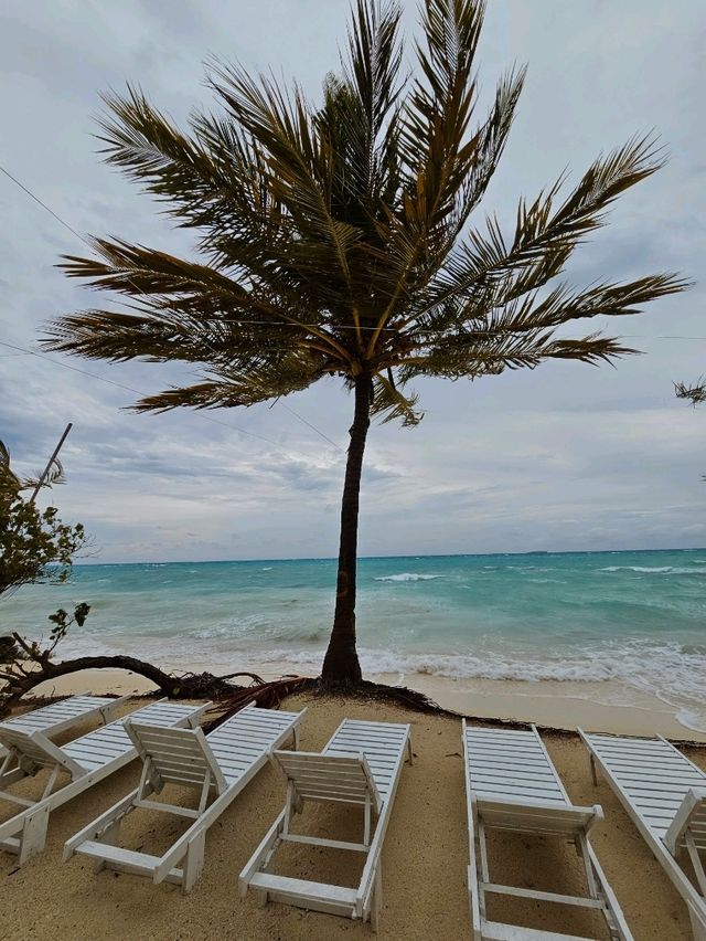 🌊 Dhiffushi Island, Maldives – A Local Island Paradise Experience