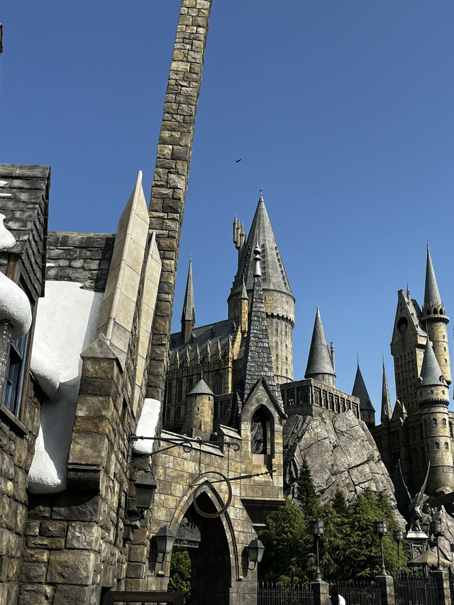 🎢✨ Just had an unforgettable day at Universal Studios Japan in Osaka!