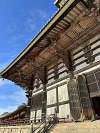 Step Into Ancient Majesty: A Nara Day at Todai-ji