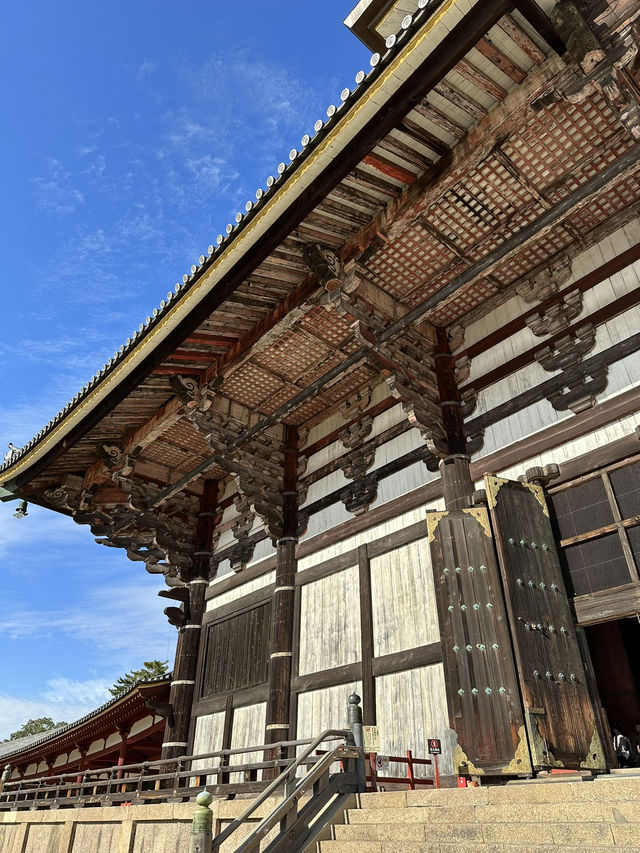 Step Into Ancient Majesty: A Nara Day at Todai-ji