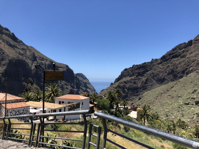 Tenerife Natural Beauty🌴