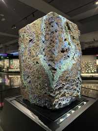 Exploring New York City: American Museum of Natural History & Times Square