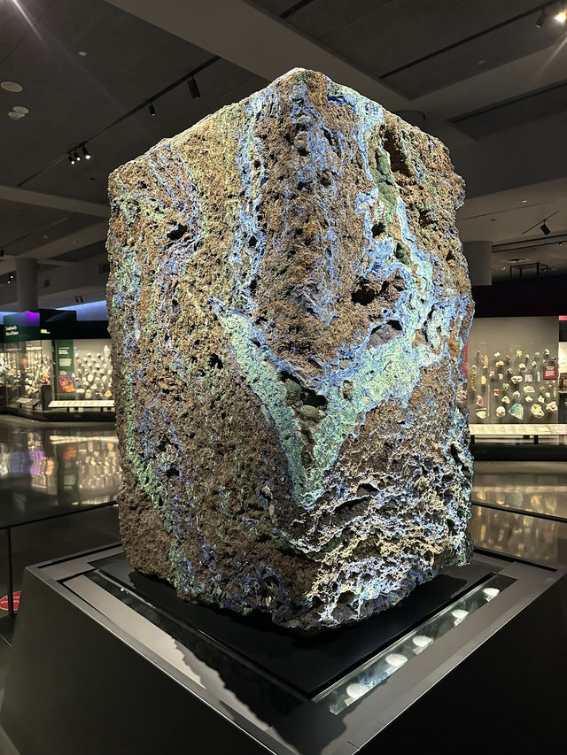 Exploring New York City: American Museum of Natural History & Times Square
