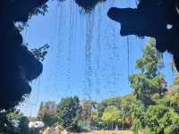 Bois de Boulogne: Must-Do Activities & Halloween Fun 🎃🌳