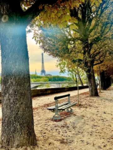 🌟💫 Top Things to See in Paris — The City of Light Awaits