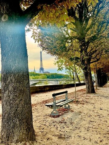 🌟💫 Top Things to See in Paris — The City of Light Awaits 🌟💫 Top Things to See in Paris — The City of Light Awaits