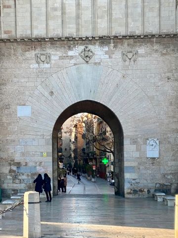 Sunny Street Vibes☀️