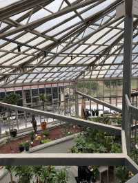 🍁 Botanical Park – Autumn Among Architecture & Nature 🏛️🌿