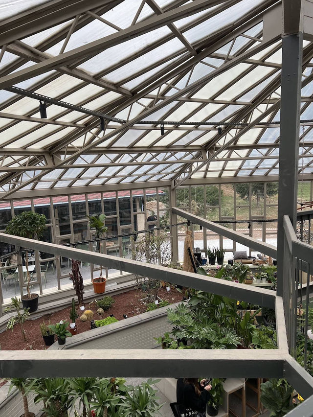 🍁 Botanical Park – Autumn Among Architecture & Nature 🏛️🌿 🍁 Botanical Park – Autumn Among Architecture & Nature 🏛️🌿