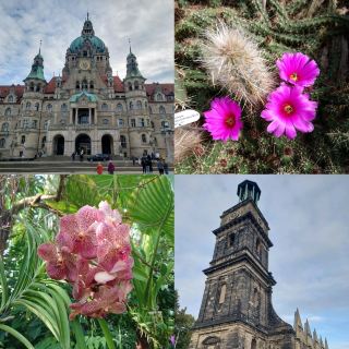 ドイツのハノーファー（Hannover）、美しい植物園。