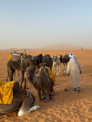 你想像不到的摩洛哥：從大西洋到撒哈拉沙漠的10天之旅