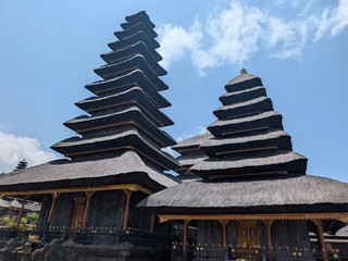 A Journey to the Cultural Heart of Bali: Why You Need to Visit Ubud