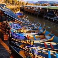 Xishuangbanna Market· Foodie's Paradise 🍴🌶