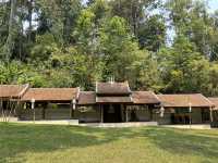 Chiang Mai's beautiful hike to Wat Pha Lat temple