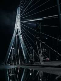 Swan | Erasmus Bridge