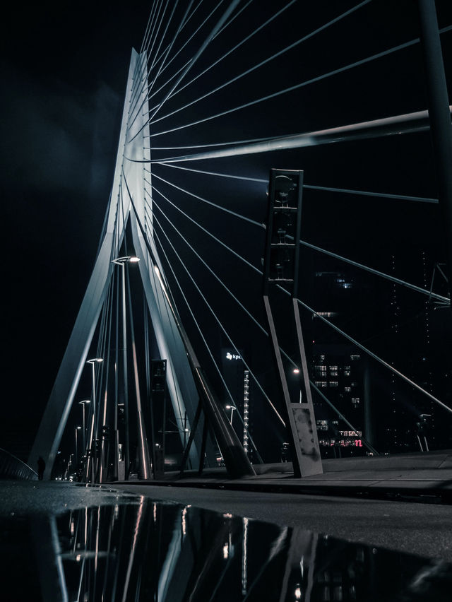 Swan | Erasmus Bridge