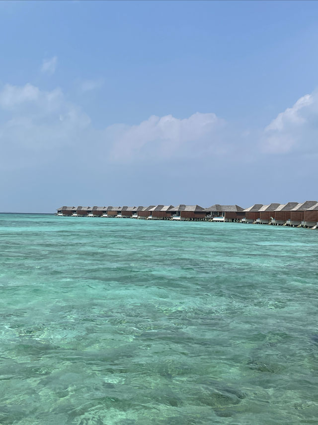 Fairy Coral Island