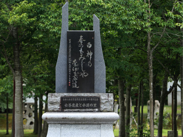 世界自然遺產日本白神山地