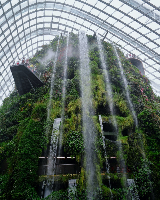 The Most Instagrammable Spots at Cloud Forest