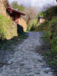雲南麗江玉湖村｜玉龍雪山腳下千年古村落