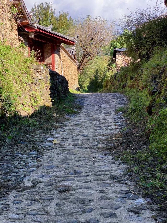 雲南麗江玉湖村｜玉龍雪山腳下千年古村落