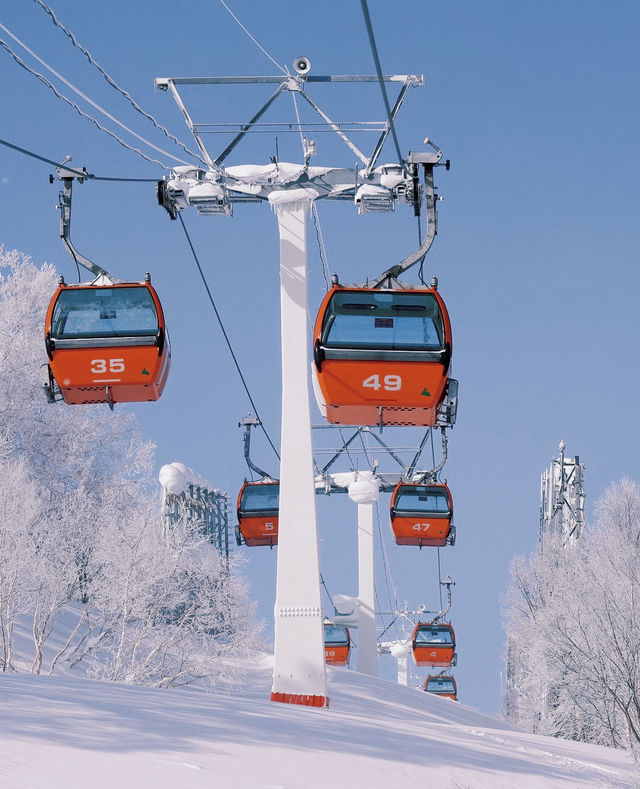 Why We Love Sapporo Kokusai Ski Resort