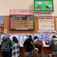 京都嵐山小火車，秋色美不勝收