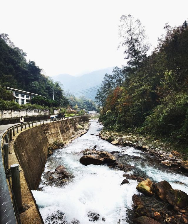 賞秋泡溫泉就來花水灣小鎮