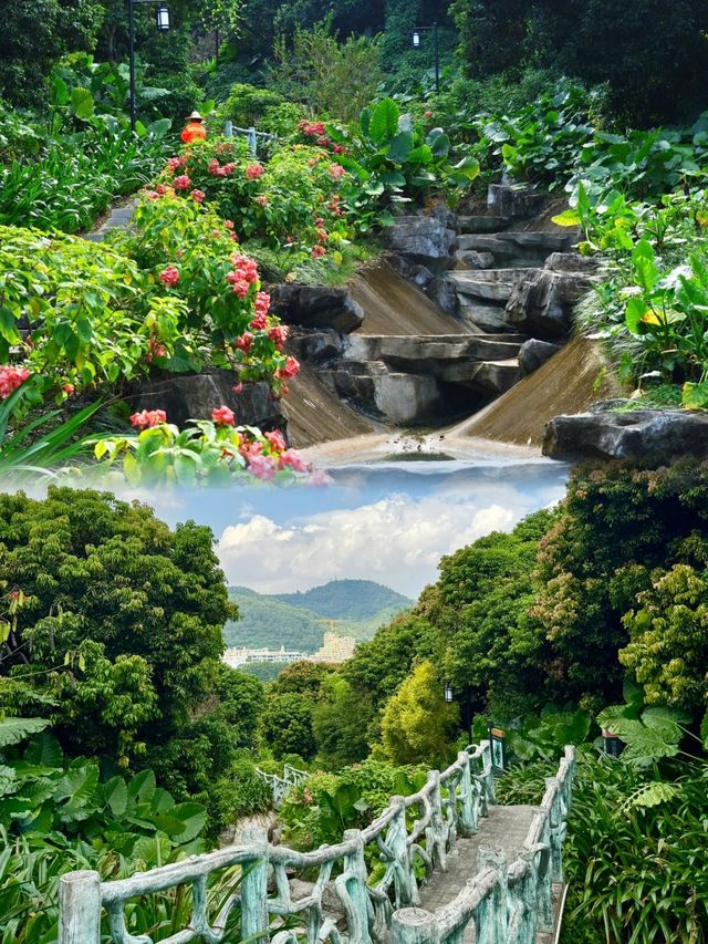 "深圳企龍山足球公園：仙境般的登山探索之旅"