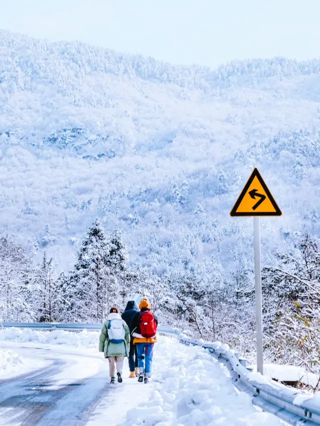 今週は大幅な冷え込みが予想され、杭州で一緒に雪山ハイキングに行く人はいますか？