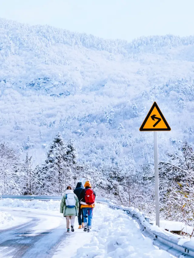 這週大降溫杭州有人要一起雪山徒步嗎？