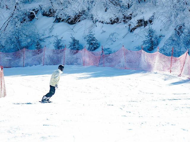 冰雪季|這些快樂，只有滑雪的人懂！