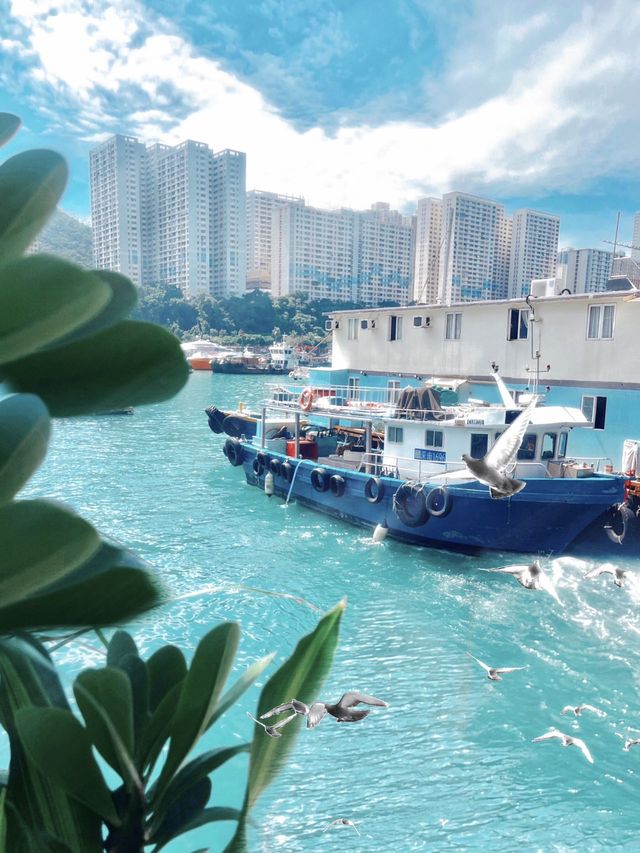 人生建議｜來香港一定要來坐一次傳統艇仔