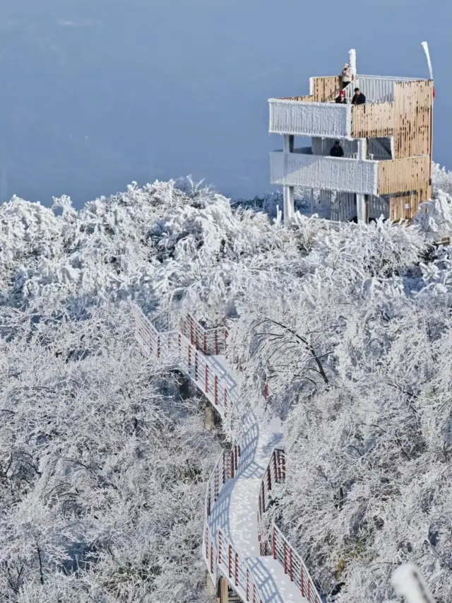 不是北海道去不起，是杭州更有性價比（避坑攻略）